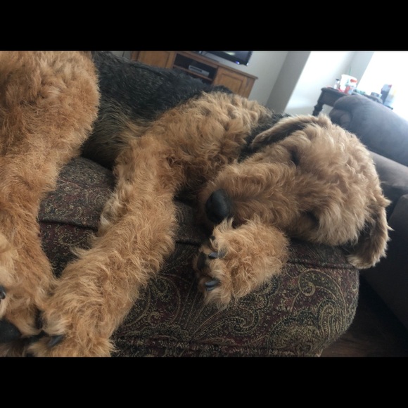 Meet your Posher, Tiffany - Picture 1 of 1